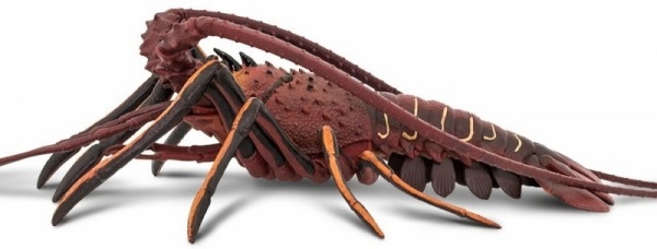 safari (���ե���) �������� �������� 100076 