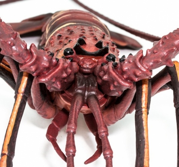 safari (���ե���) �������� �������� 100076 