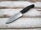 �������祦 KS1083 ������ 5����� D2��/GFN�ϥ�ɥ� �ե륿��  �ʥ���/ KERSHAW