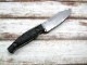 �������祦 KS1083 ������ 5����� D2��/GFN�ϥ�ɥ� �ե륿��  �ʥ���/ KERSHAW