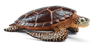 safari (���ե���) �������ߥ���(L) 260429