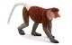 Mojo/ANIMAL PLANET ���եꥫ�� ���եꥫ�� �ƥ󥰥��� 387176