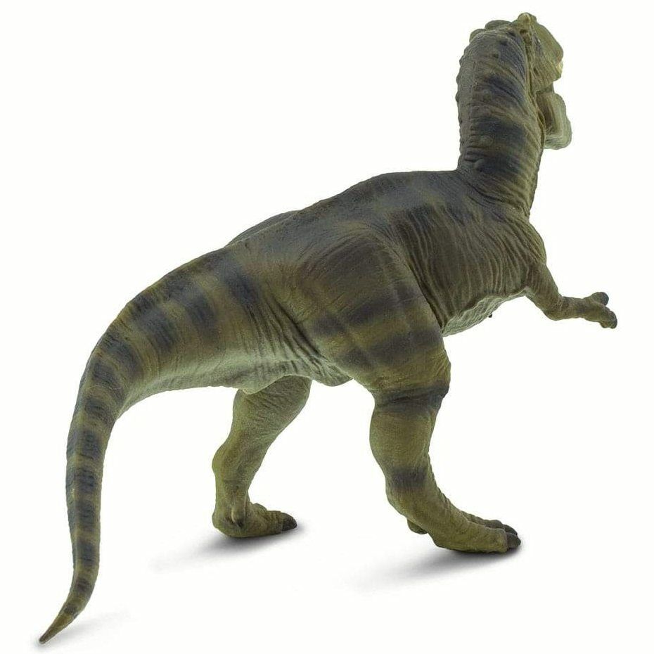 safari (���ե���)WS �ԡݣң���� 100423