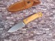  饤󥹥 M4 ֥å奯ե ʥ M390 ꡼֥å ϥɥ,lionSTEEL Sheath knife