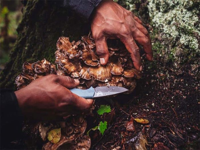  ٥ᥤ 󥿡 18050 INTERSECT BENCHMADEʡ