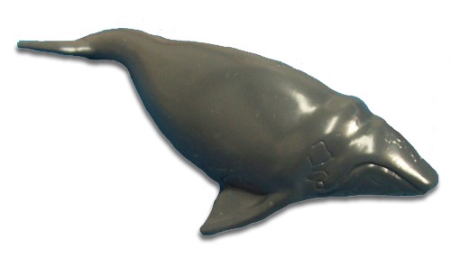 ��������&�ͥ����㡼 �������ȥ�ꥢ �ߥʥߥ��ߥ����� 75386 (ưʪ,�ե����奢)