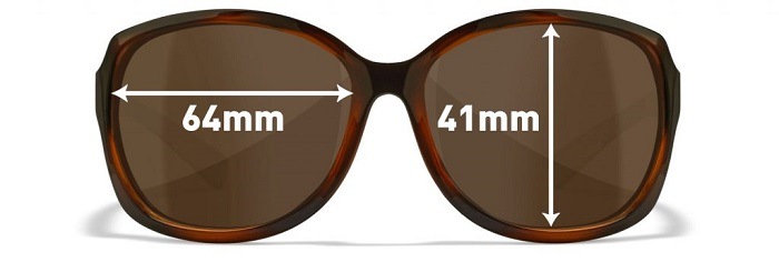  磻꡼å/ACMSQ02 ߥƥ ֥饦/ǥߥե졼 󥰥饹 MYSTIQUE Brown[Gloss Demi]Wiley XŹ