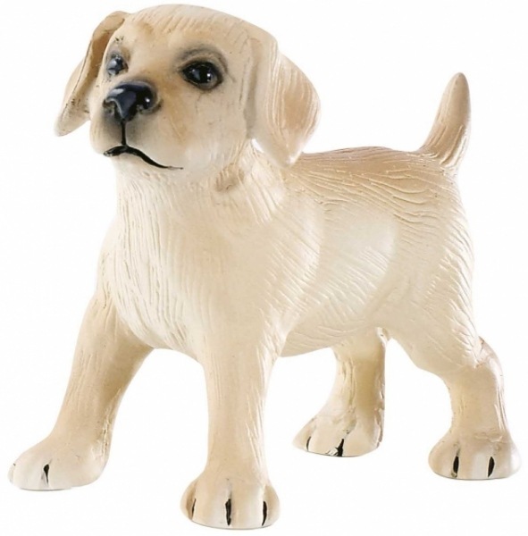 BULLYLAND(�֥꡼����) ��֥�ɡ��� �� 65432