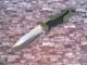 ���� �Хå� BUCK 656GRS �ѥ��塼�� �顼�� �ʥ���  420HC��/GFN �ϥ�ɥ� Pursuit