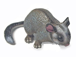 ��������&�ͥ����㡼 �������ȥ�ꥢ �ե������� 75457 (ưʪ,�ե����奢)