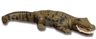 ��������&�ͥ����㡼 �������ȥ�ꥢ ���(���ꥨ���) 75460 (ưʪ,�ե����奢)