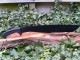 ������ɥ�������/COLD STEEL  ����󥰥� �ޥ����å� 97JMS ���ѥ�������  