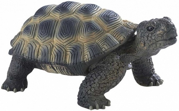 ��BULLYLAND(�֥꡼����) Φ ���� �� 63553