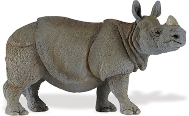 safari (���ե���) ����ɥ��� 297329