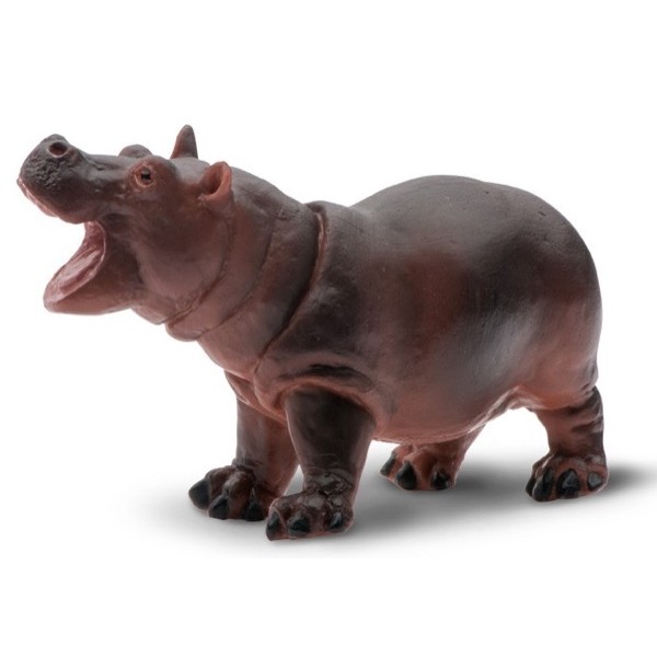 safari (���ե���) ����(��) 270529