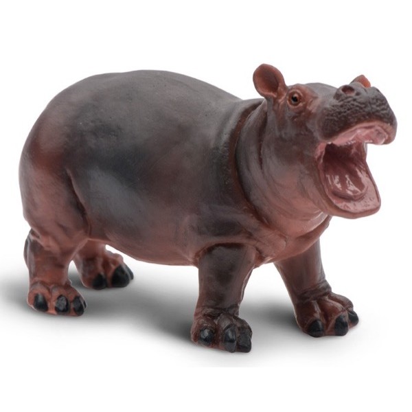 safari (���ե���) ����(��) 270529