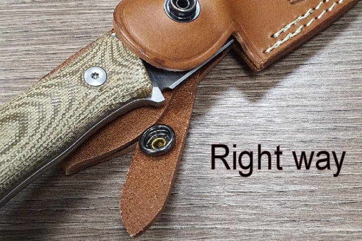 ���� �饤���󥹥����� M5 �֥å��奯��ե� �ʥ��� ���쥤�ץʡ��� ���꡼�֥��å� �ϥ�ɥ�,lionSTEEL Sheath knife