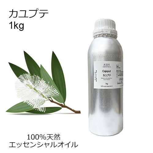 カユプテ 業務用 1kg 【エッセンシャルオイル アロマオイル 精油 樹木系】【AEAJ表示基準適合認定精油】【安全データシートMSDS発行可】