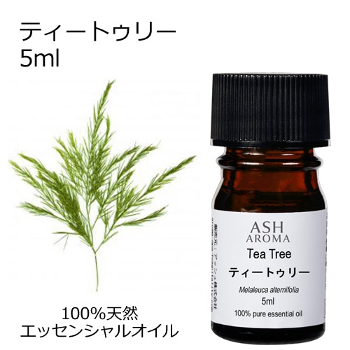 ティートゥリー 5ml 【エッセンシャルオイル アロマオイル 精油 ティートリー ティーツリー 樹木系】【AEAJ表示基準適合認定精油】