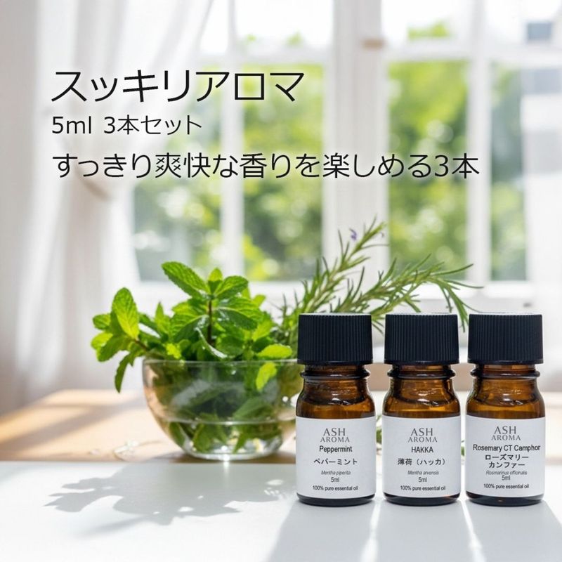 【スッキリアロマ3本セット】 アロマオイル 精油 5ml×3本 天然100% エッセンシャルオイル ミント ローズマリー AEAJ表示基準適合 ASH AROMA【メール便送料無料】