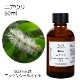 ニアウリ 50ml 【エッセンシャルオイル アロマオイル 精油 樹木系】【AEAJ表示基準適合認定精油】
