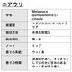 ニアウリ 50ml 【エッセンシャルオイル アロマオイル 精油 樹木系】【AEAJ表示基準適合認定精油】