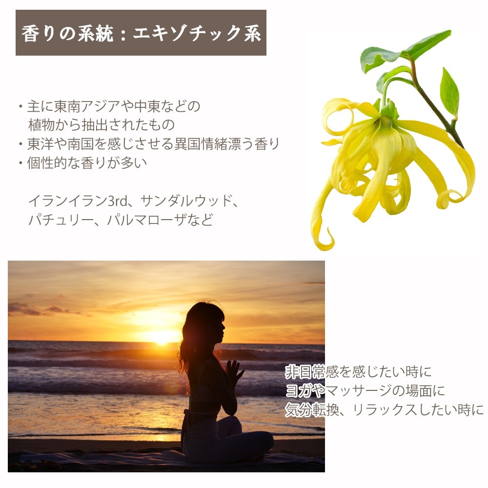 イランイラン 3rdグレード 10ml 箱入り【エッセンシャルオイル アロマオイル 精油 サードグレード エキゾチック系】【AEAJ表示基準適合認定精油】