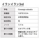 イランイラン 3rdグレード 10ml 箱入り【エッセンシャルオイル アロマオイル 精油 サードグレード エキゾチック系】【AEAJ表示基準適合認定精油】