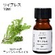 サイプレス 10ml 【エッセンシャルオイル アロマオイル 精油 樹木系】【AEAJ表示基準適合認定精油】