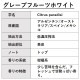 グレープフルーツ ホワイト 10ml 箱入り【エッセンシャルオイル アロマオイル 精油 柑橘系】【AEAJ表示基準適合認定精油】