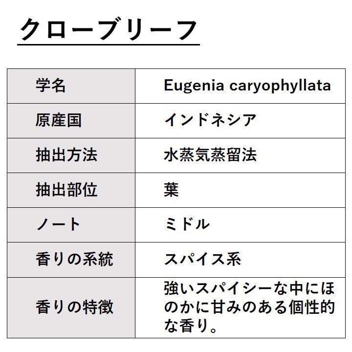クローブリーフ 10ml 箱入り【エッセンシャルオイル アロマオイル 精油 スパイス系】【AEAJ表示基準適合認定精油】