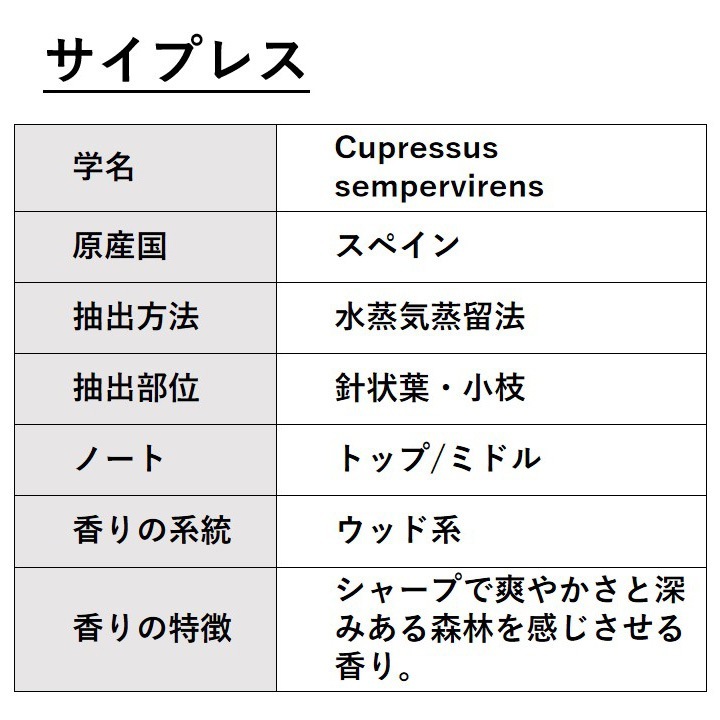 サイプレス 10ml 箱入り【エッセンシャルオイル アロマオイル 精油 樹木系】【AEAJ表示基準適合認定精油】