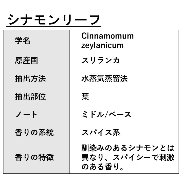 シナモンリーフ 精油 10ml エッセンシャルオイル アロマオイル ASH AROMA
