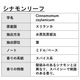 シナモンリーフ 精油 10ml エッセンシャルオイル アロマオイル ASH AROMA
