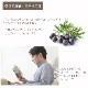 クローブリーフ 10ml 【エッセンシャルオイル アロマオイル 精油 スパイス系】【AEAJ表示基準適合認定精油】