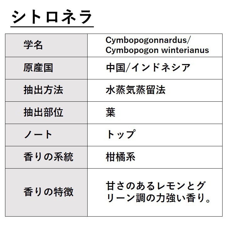 シナモンリーフ 10ml 箱入り【エッセンシャルオイル アロマオイル 精油 スパイス系】【AEAJ表示基準適合認定精油】