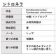 シナモンリーフ 10ml 箱入り【エッセンシャルオイル アロマオイル 精油 スパイス系】【AEAJ表示基準適合認定精油】