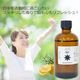Day （昼用）アロマブレンドオイル 100ml　【アロマオイル エッセンシャルオイル 精油】  TVと同じ配合比率 天然100％ アロマ 業務用 ブレンドオイル レモン ローズマリー