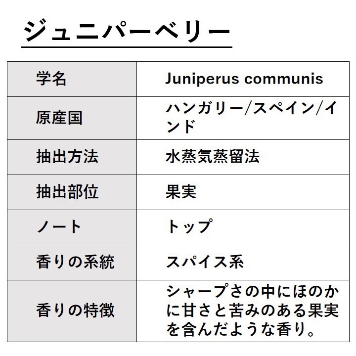 ジュニパーベリー 10ml 箱入り【エッセンシャルオイル アロマオイル 精油 スパイス系】【AEAJ表示基準適合認定精油】