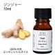 ジンジャー 精油 10ml 箱入り エッセンシャルオイル アロマオイル ASH AROMA