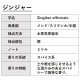 ジンジャー 精油 10ml 箱入り エッセンシャルオイル アロマオイル ASH AROMA