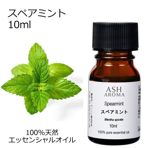 スペアミント 10ml 箱入り【エッセンシャルオイル アロマオイル 精油 ミント ハーブ系】【AEAJ表示基準適合認定精油】