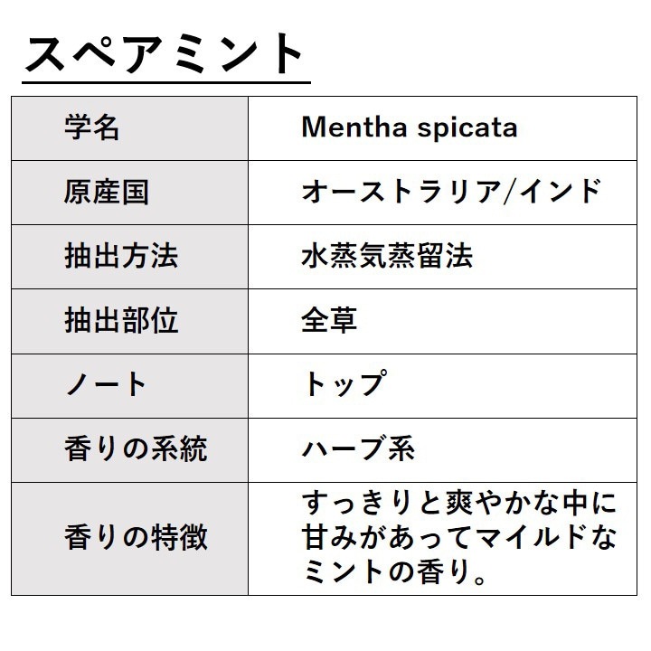スペアミント 10ml 箱入り【エッセンシャルオイル アロマオイル 精油 ミント ハーブ系】【AEAJ表示基準適合認定精油】