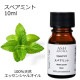 スペアミント 10ml 箱入り【エッセンシャルオイル アロマオイル 精油 ミント ハーブ系】【AEAJ表示基準適合認定精油】