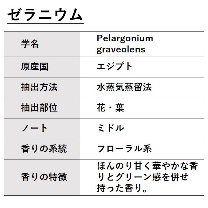 ゼラニウム 10ml 箱入り【エッセンシャルオイル アロマオイル 精油 フローラル系】【AEAJ表示基準適合認定精油】