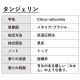 タンジェリン 10ml 箱入り【エッセンシャルオイル アロマオイル 精油 柑橘系】【AEAJ表示基準適合認定精油】