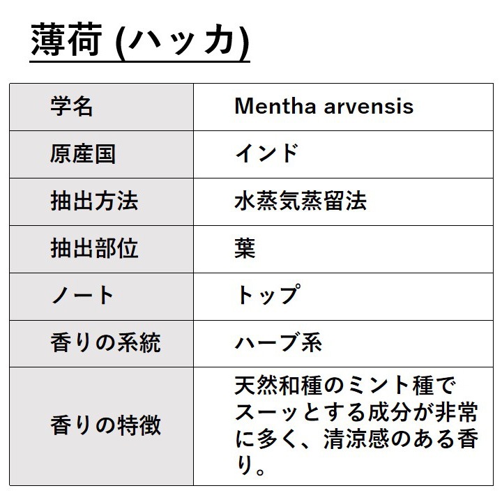 薄荷 ハッカ 10ml 【エッセンシャルオイル アロマオイル 精油 和種薄荷 和ハッカ ハッカ油 ミント ハーブ系】【AEAJ表示基準適合認定精油】