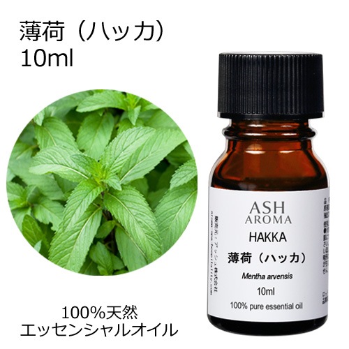 薄荷 ハッカ 10ml 【エッセンシャルオイル アロマオイル 精油 和種薄荷 和ハッカ ハッカ油 ミント ハーブ系】【AEAJ表示基準適合認定精油】