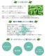 薄荷 ハッカ 10ml 【エッセンシャルオイル アロマオイル 精油 和種薄荷 和ハッカ ハッカ油 ミント ハーブ系】【AEAJ表示基準適合認定精油】