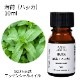 薄荷 ハッカ 10ml 【エッセンシャルオイル アロマオイル 精油 和種薄荷 和ハッカ ハッカ油 ミント ハーブ系】【AEAJ表示基準適合認定精油】